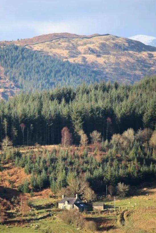 Tyn Y Simdde - Secluded Mountain Stay - Stunning Views Of Eryri Dolgellau Eksteriør bilde