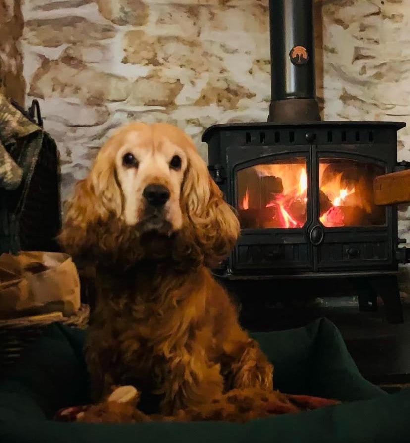 Tyn Y Simdde - Secluded Mountain Stay - Stunning Views Of Eryri Dolgellau Eksteriør bilde