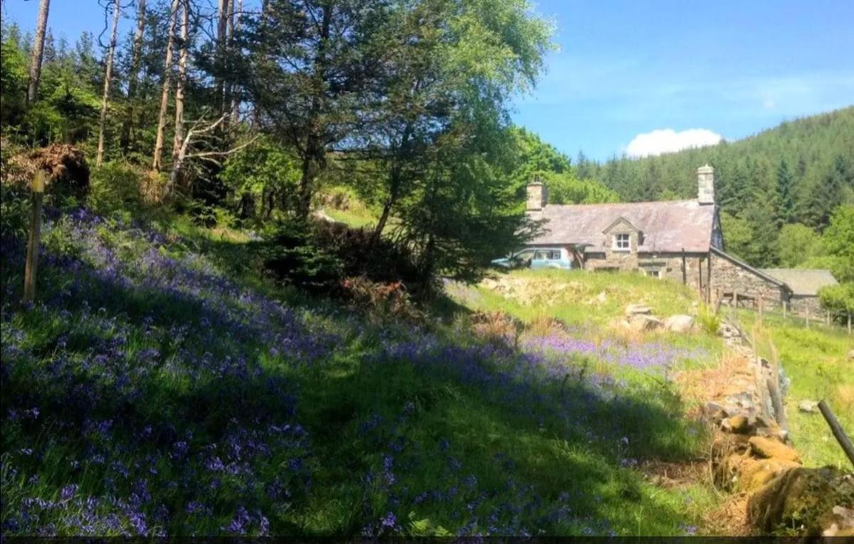 Tyn Y Simdde - Secluded Mountain Stay - Stunning Views Of Eryri Dolgellau Eksteriør bilde