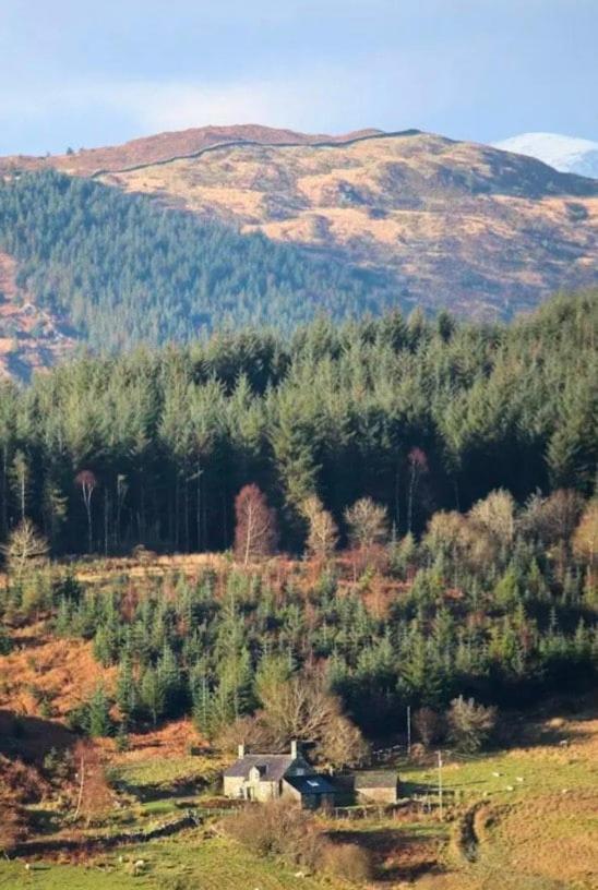 Tyn Y Simdde - Secluded Mountain Stay - Stunning Views Of Eryri Dolgellau Eksteriør bilde