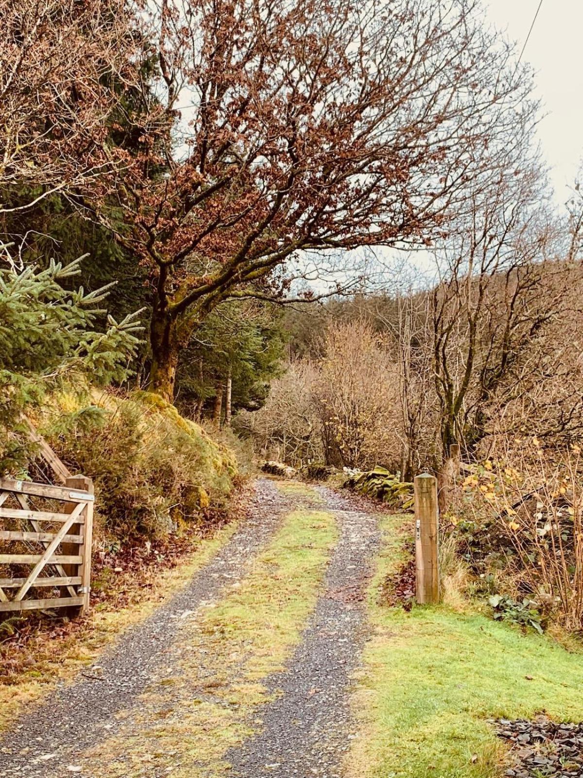 Tyn Y Simdde - Secluded Mountain Stay - Stunning Views Of Eryri Dolgellau Eksteriør bilde