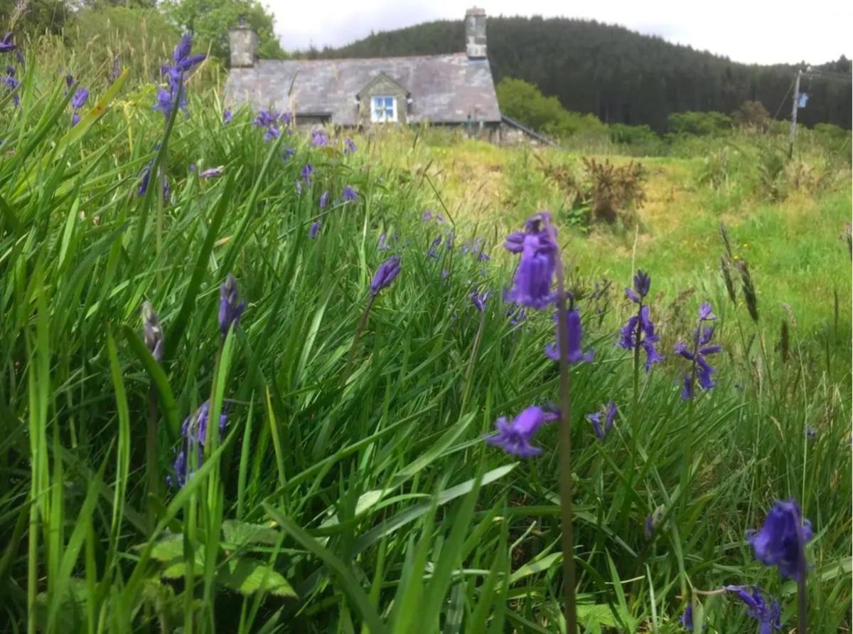 Tyn Y Simdde - Secluded Mountain Stay - Stunning Views Of Eryri Dolgellau Eksteriør bilde