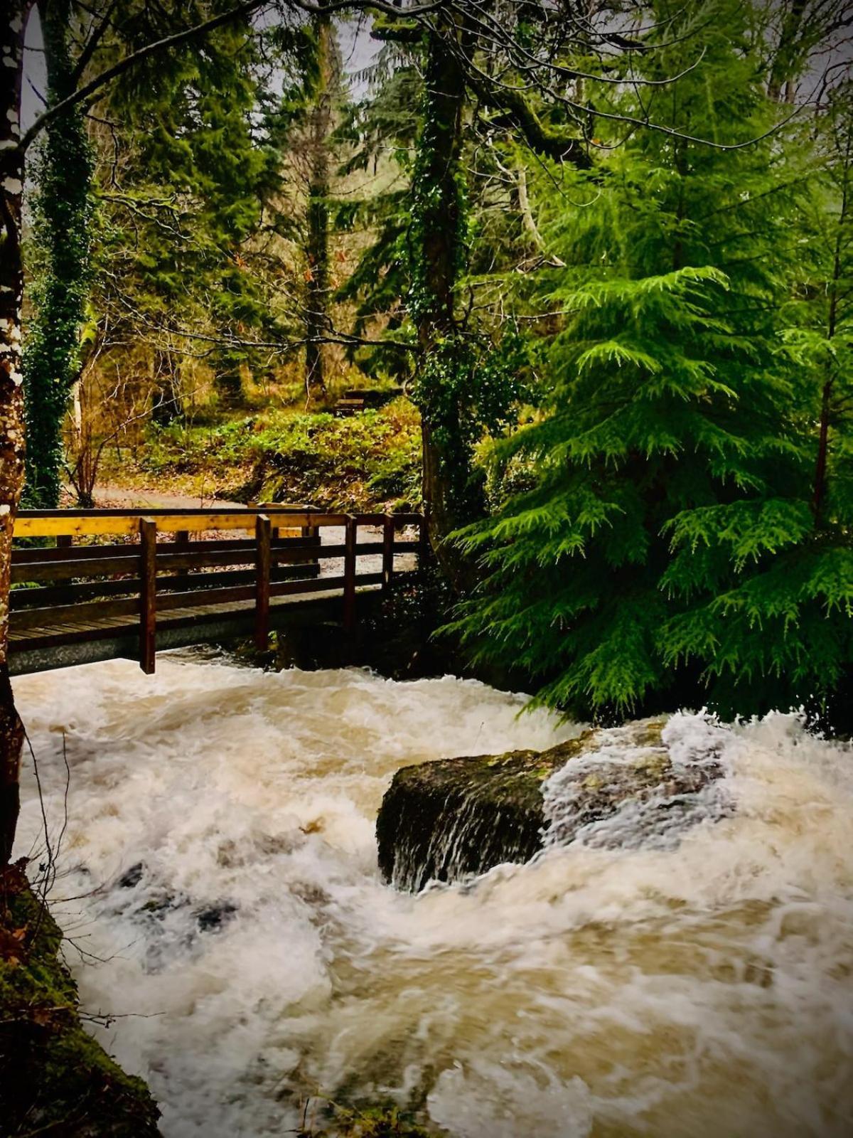 Tyn Y Simdde - Secluded Mountain Stay - Stunning Views Of Eryri Dolgellau Eksteriør bilde